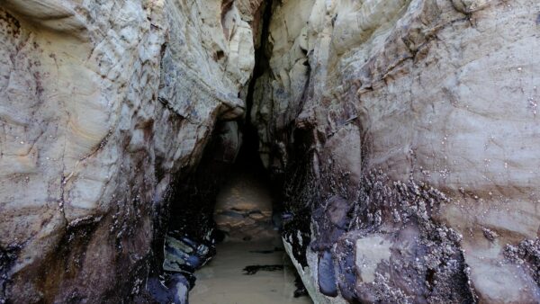 Rescuers Battle Narrow Passages to Free Trapped Gold Seekers in Laos Cave