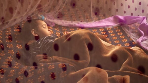 Zimbabwe’s Malaria Crisis: A Perfect Storm of Climate Chaos and Funding Gaps